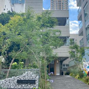 IPIAS Aoyama