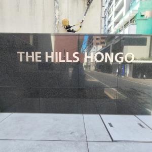 THE HILLS HONGO